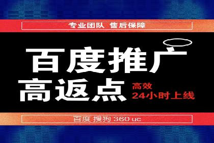SEM托管公司案例研究：优化策略解析
